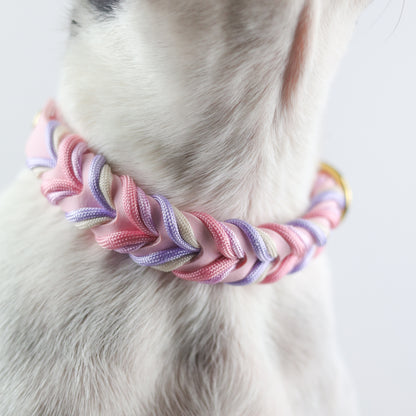 Braided paracord collar -Kyeema