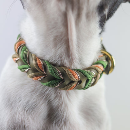 Fern Braided paracord collar