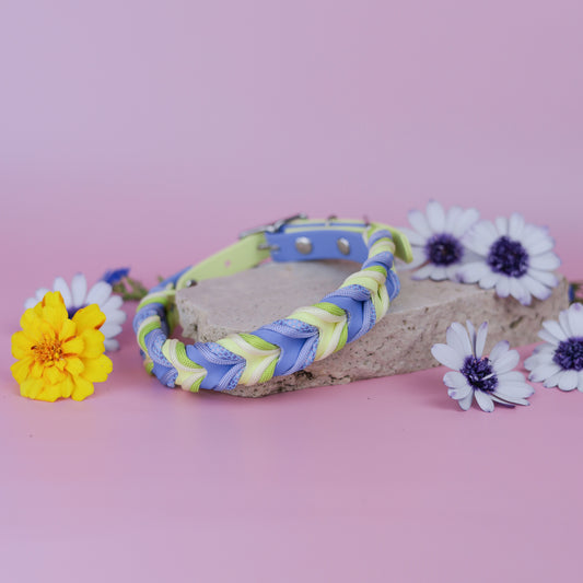 Braided paracord collar -Fairy dust