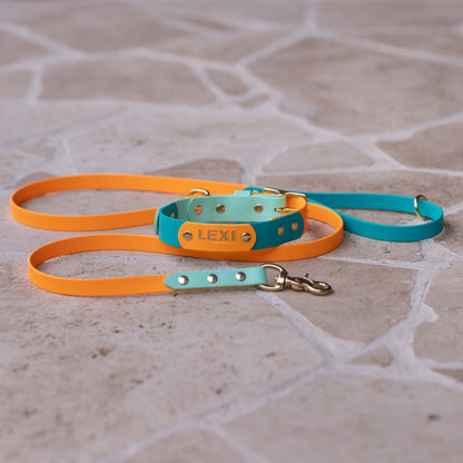 Tri colour leash 120-180cm