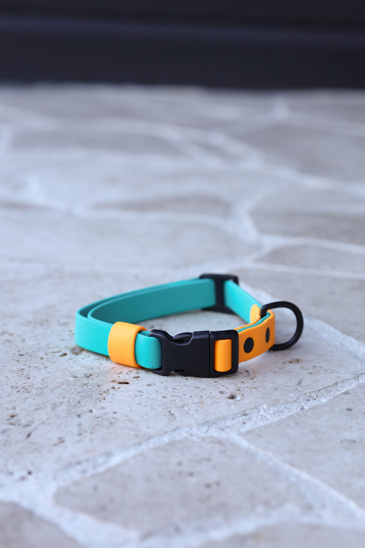 Sample sale 19mm Medium adjustable collar Teal / pastel orange