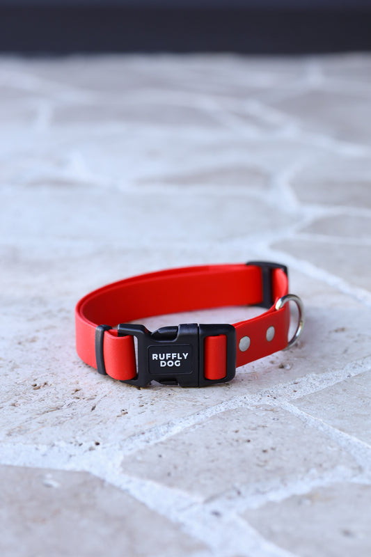 Sample sale 25mm Large Adjustable collar red