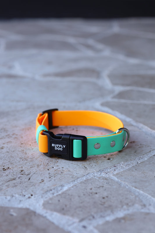 Sample sale 25mm Medium two tone collar pastel orange / mint