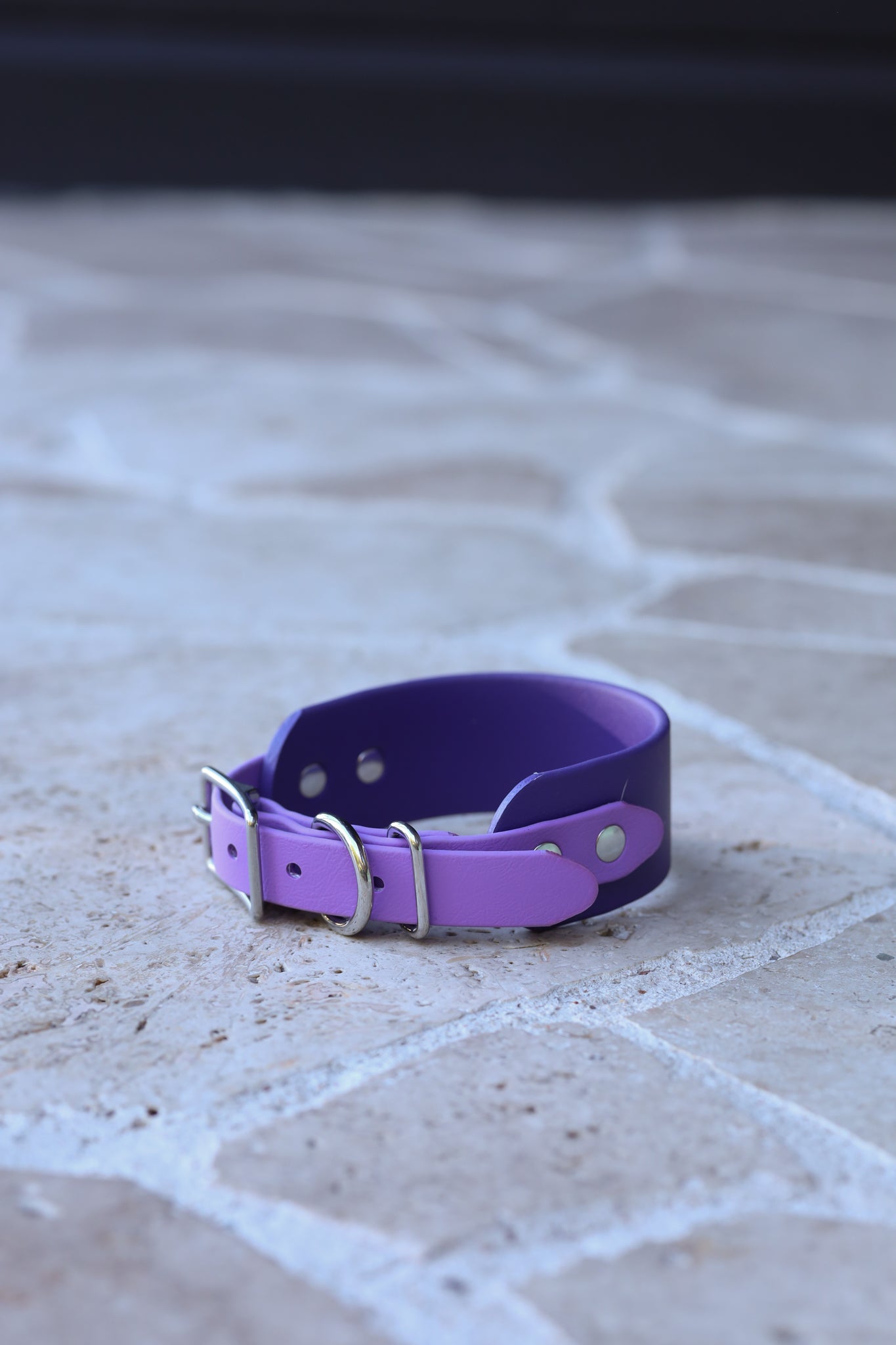 Sample sale 30-32cm neck size hound collar purple / amethyst