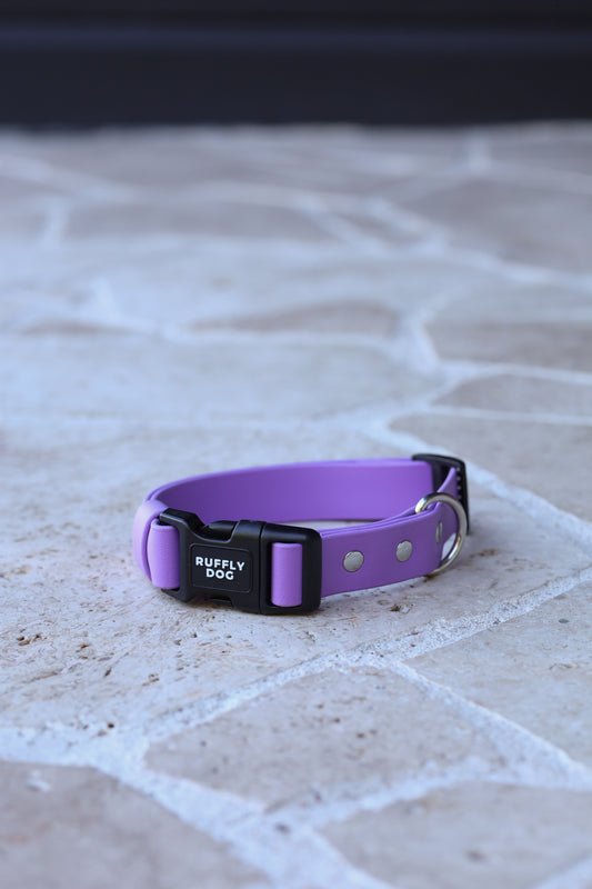 Sample sale 25mm Medium Adjustable collar Amethyst