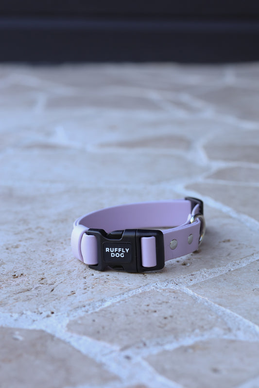 Sample sale 25mm Medium Adjustable collar Lilac