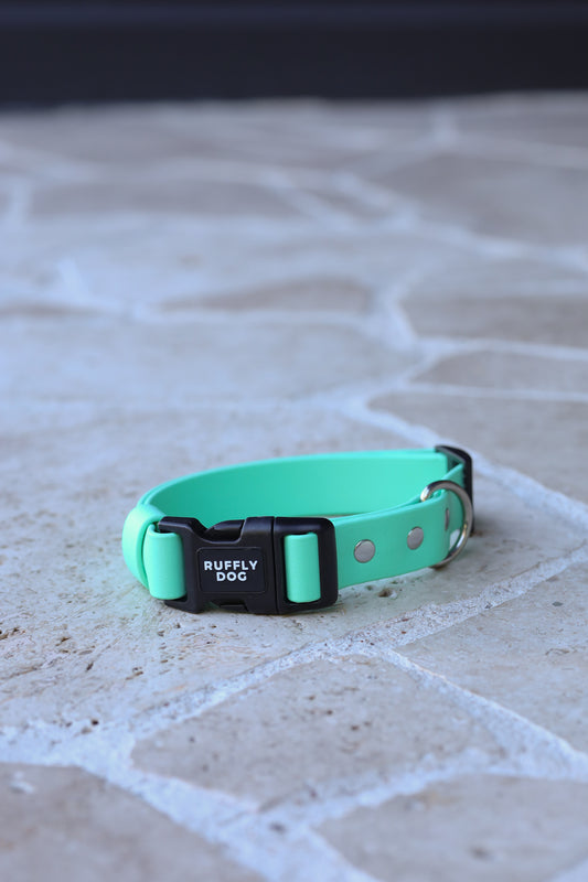 Sample sale 25mm Medium Adjustable collar Mint