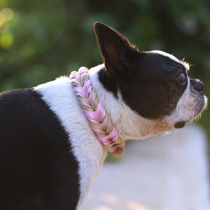 Braided paracord collar - Shell