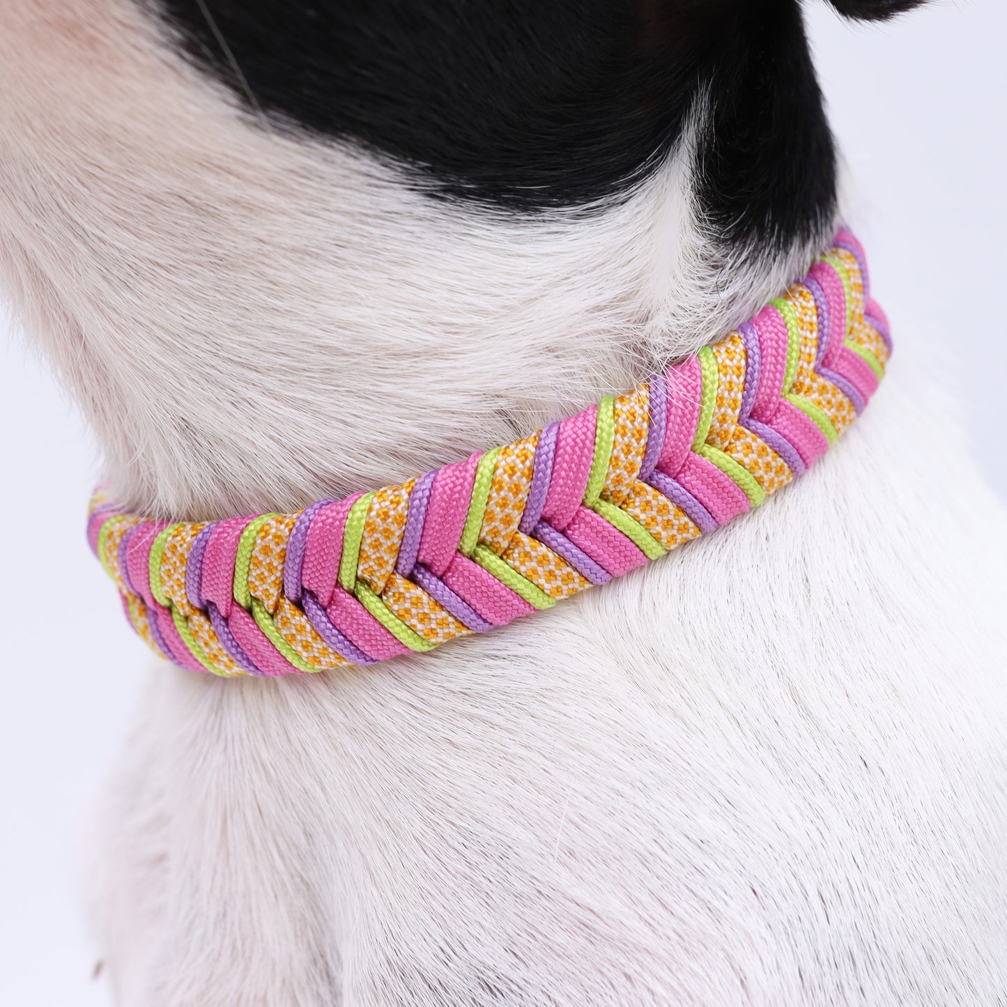 Fishtail braid paracord collar - Solara