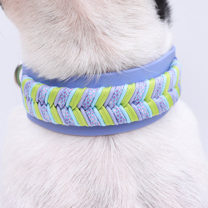 Fishtail braid Hound collar