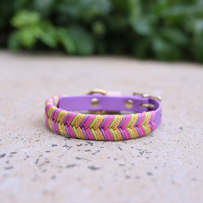 Fishtail braid paracord collar - Solara