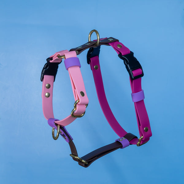 Waterproof BioThane® and rope dog collars, leads and harnesses