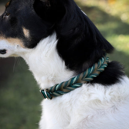 Pine Braided paracord collar